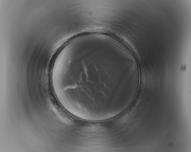 X0000112040674200908241603