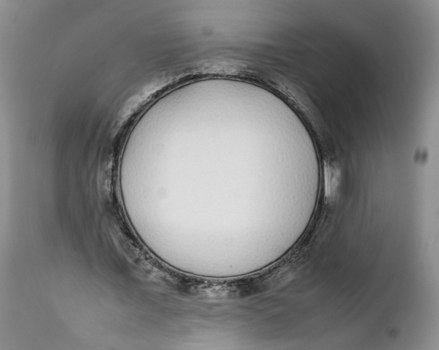 X0000112040675200908241603