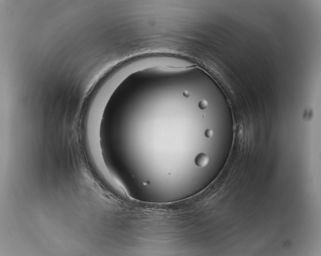 X0000112040676200908241603
