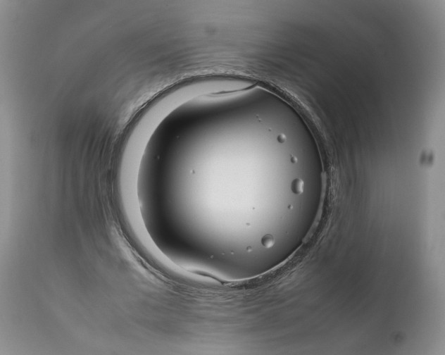 X0000112040677200908241603
