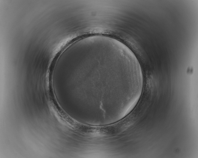 X0000112040678200908241603