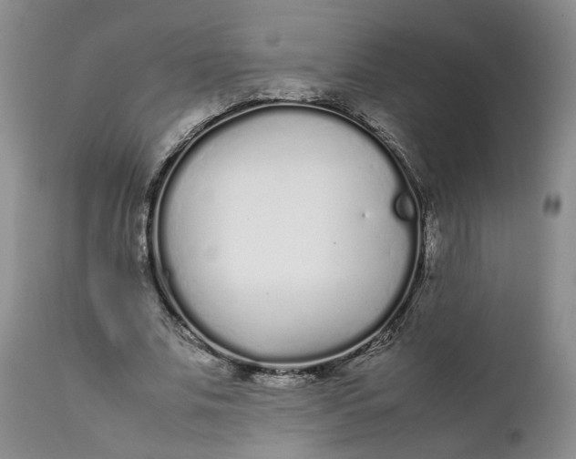 X0000112040679200908241603