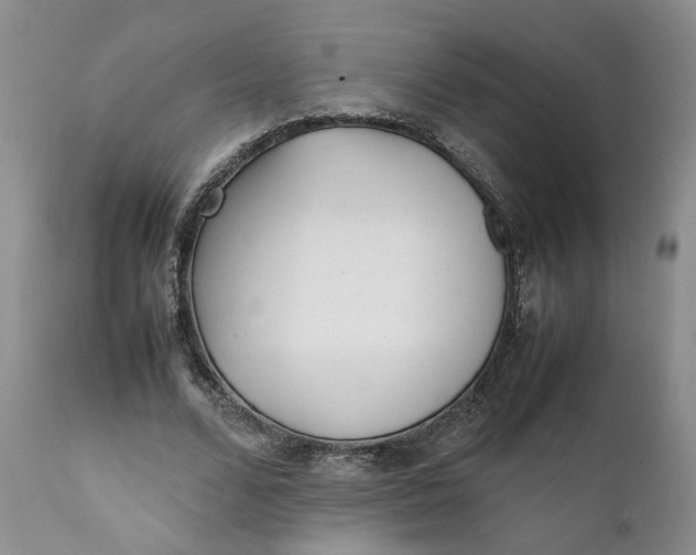 X0000112040680200908241603