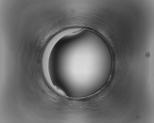 X0000112040681200908241603