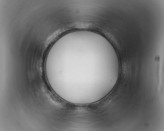 X0000112040682200908241603