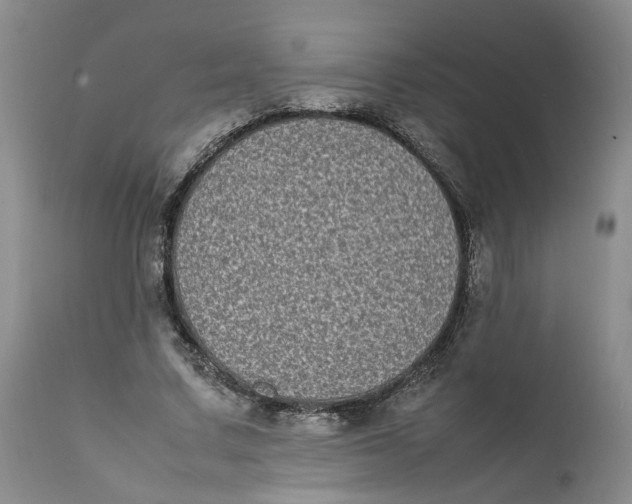 X0000112040683200908241603