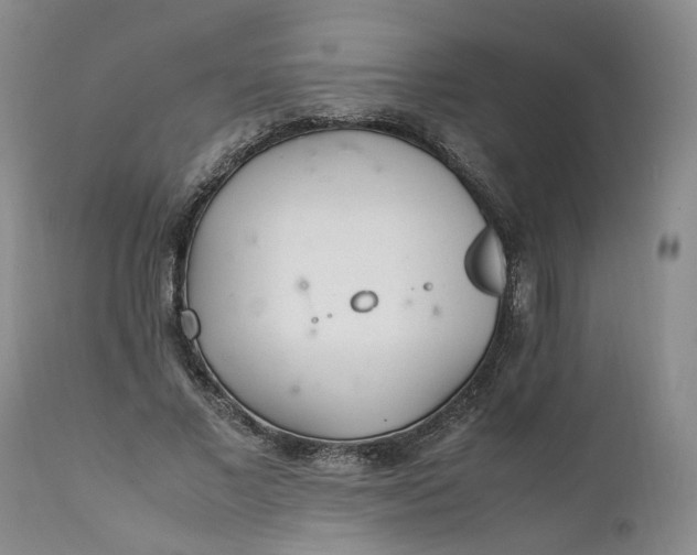 X0000112040685200908241603