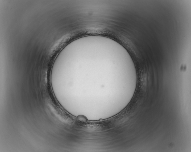 X0000112040686200908241603
