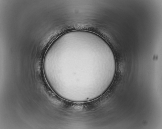 X0000112040687200908241603