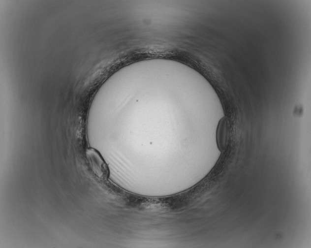 X0000112040689200908241603