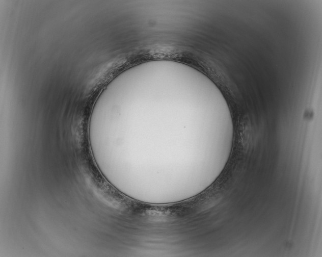 X0000112040690200908241603