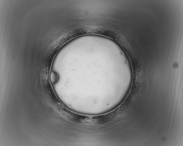 X0000112040691200908241603