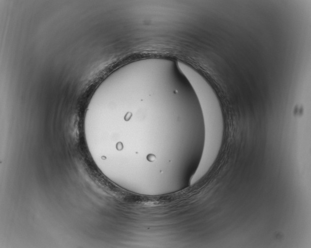 X0000112040692200908241603