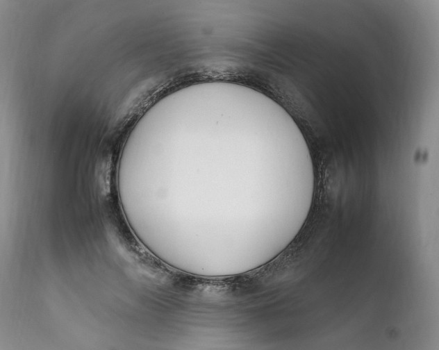 X0000112040694200908241603