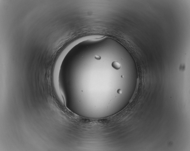 X0000112040696200908241603