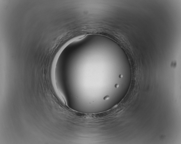 X0000112040697200908241603
