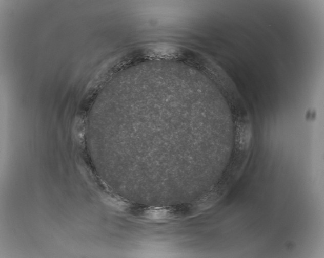 X0000112040701200908241603