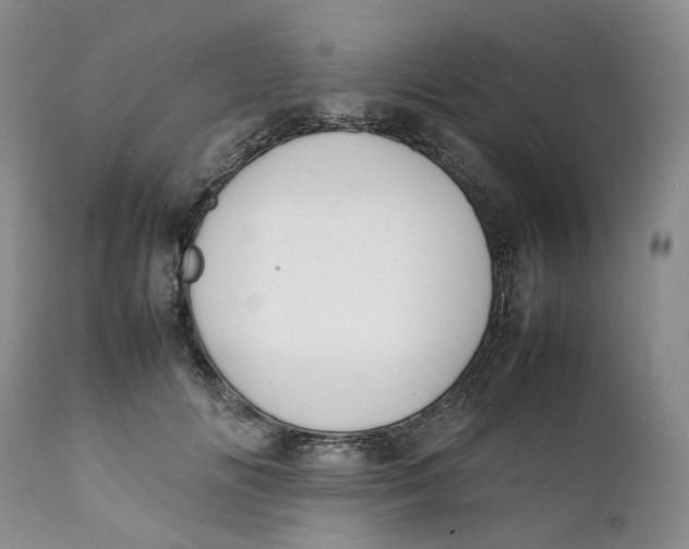 X0000112040702200908241603