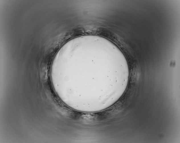 X0000112040703200908241603