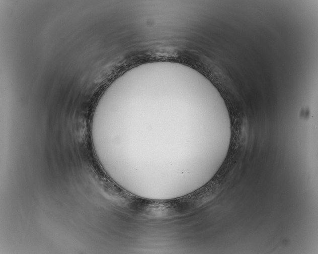 X0000112040704200908241603