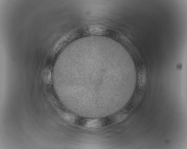 X0000112040705200908241603