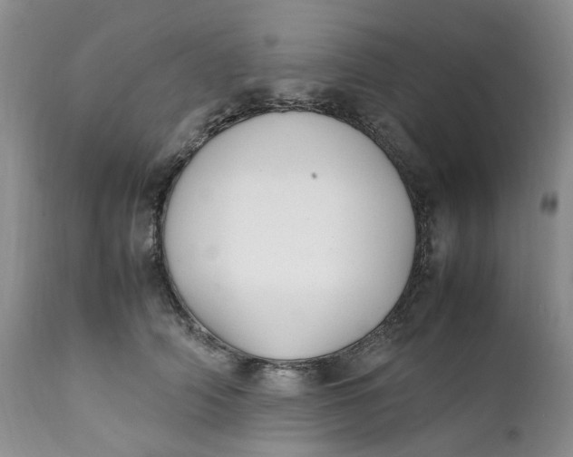 X0000112040706200908241603