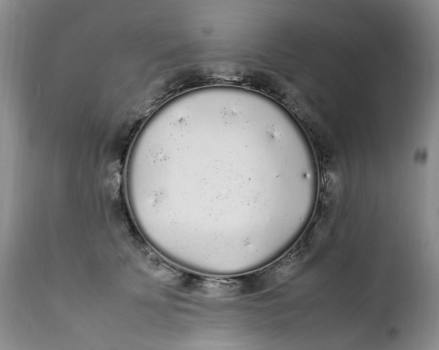 X0000112040707200908241603
