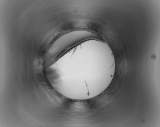 X0000112040708200908241603