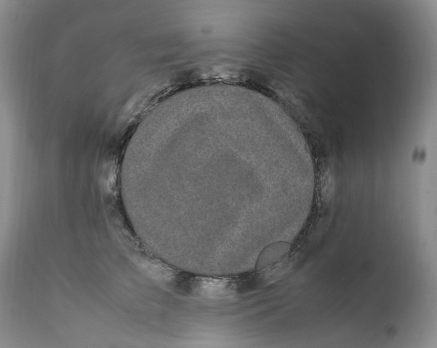 X0000112040709200908241602