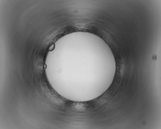 X0000112040710200908241602