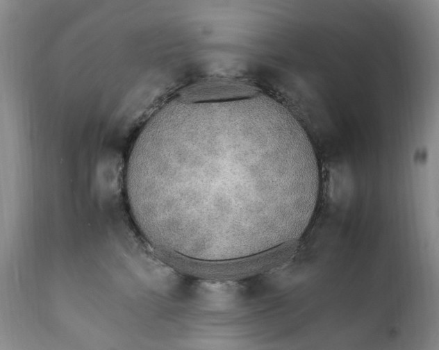 X0000112040712200908241602