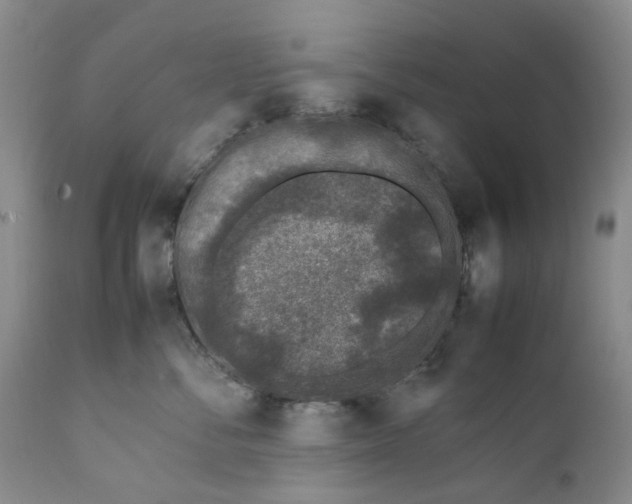 X0000112040716200908241602