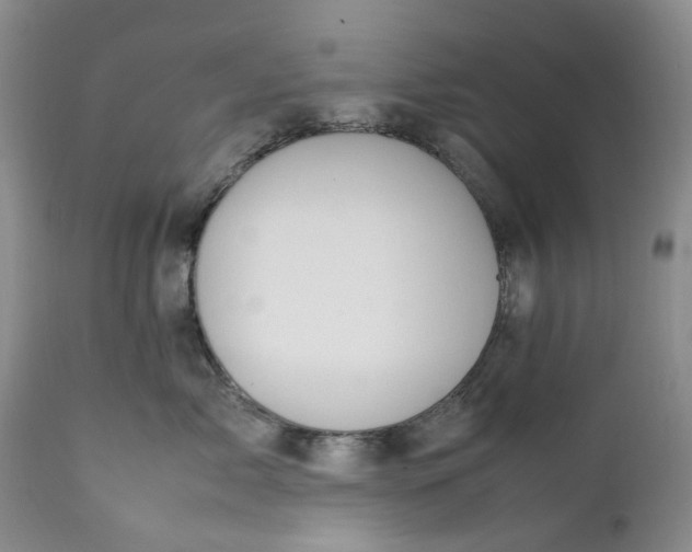X0000112040717200908241602