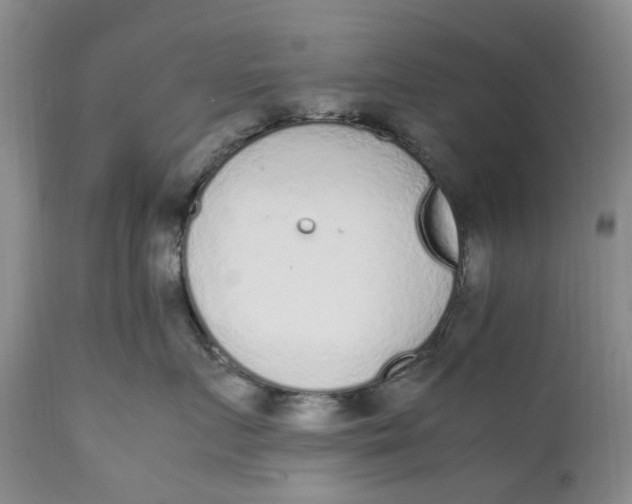 X0000112040719200908241602