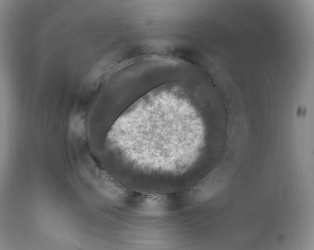 X0000112040720200908241602