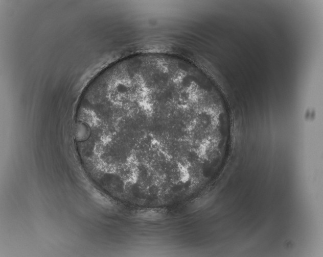 X0000112040721200908241602