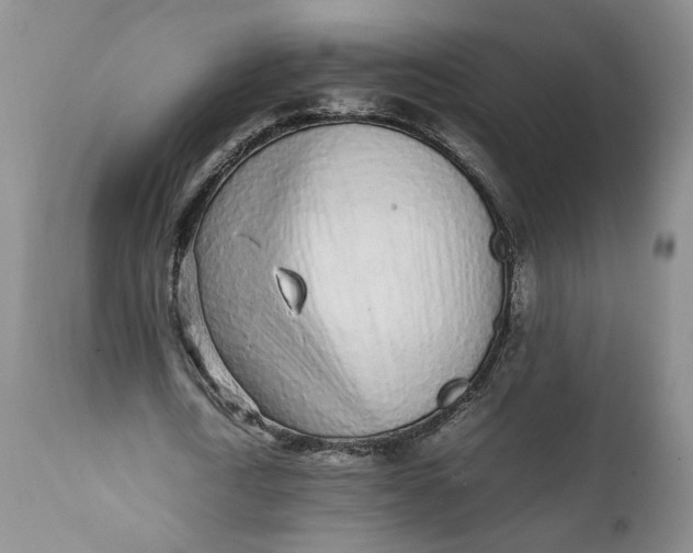 X0000112040722200908241602