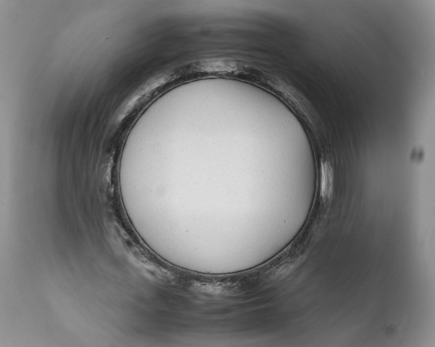 X0000112040723200908241602