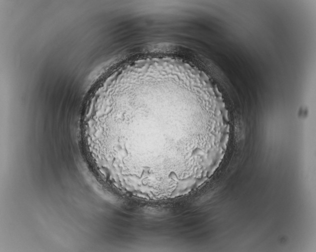 X0000112040725200908241602