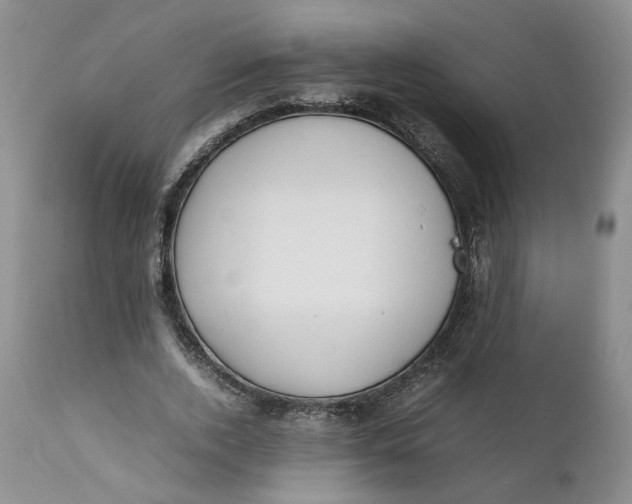 X0000112040728200908241602