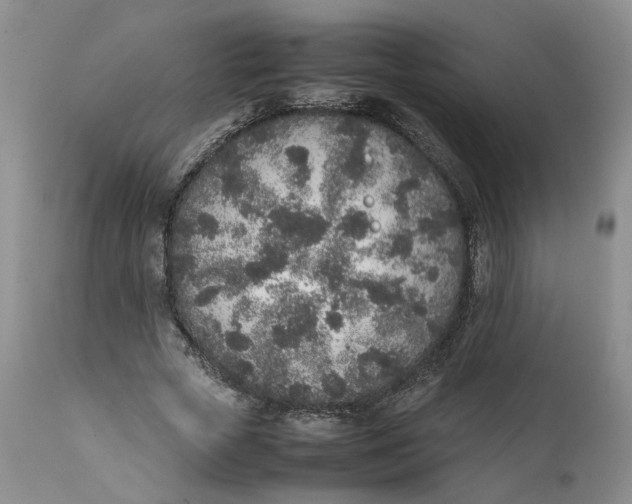 X0000112040729200908241602