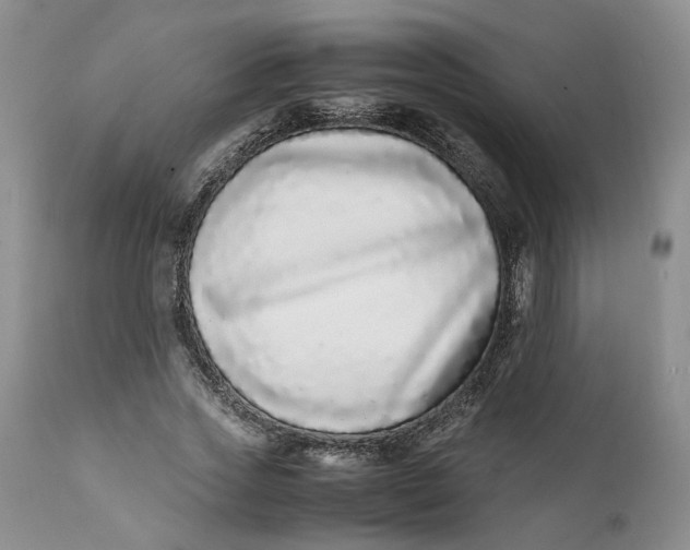 X0000112040733200908241602