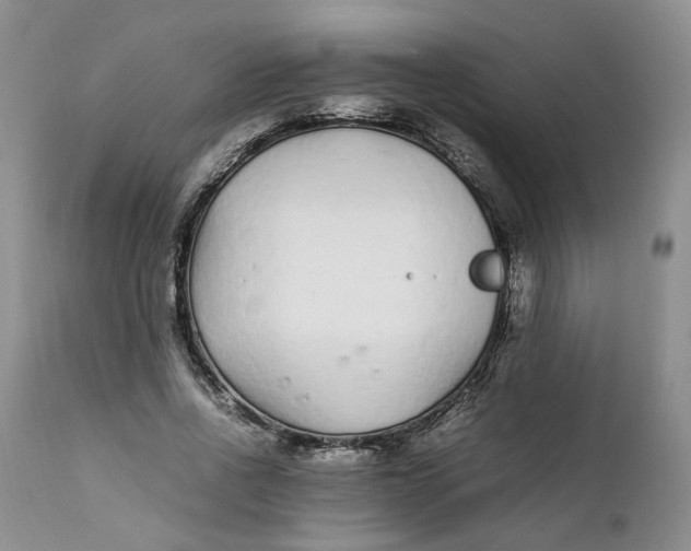 X0000112040734200908241602