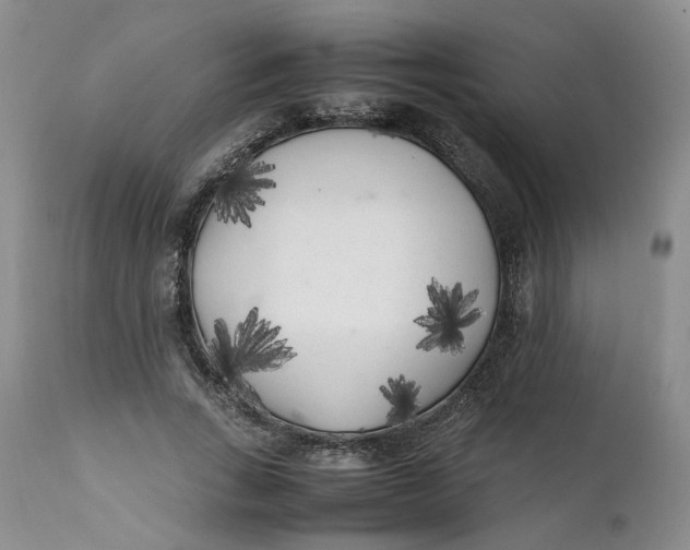 X0000112040735200908241602