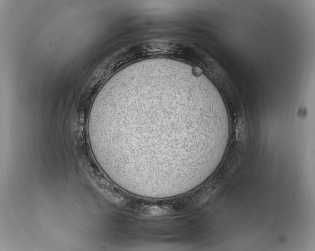 X0000112040737200908241602