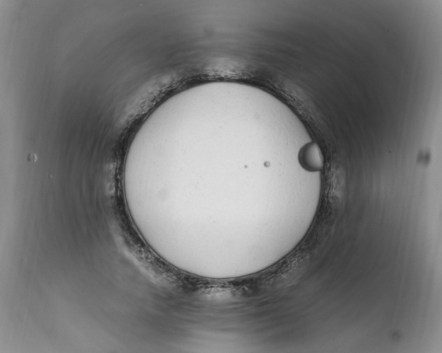 X0000112040738200908241602