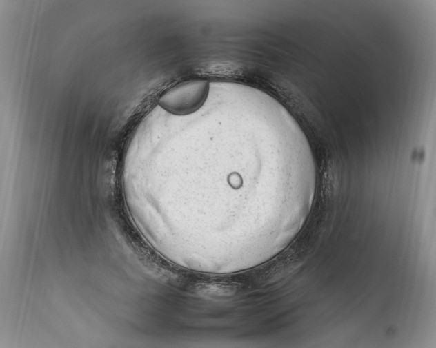 X0000112040739200908241602