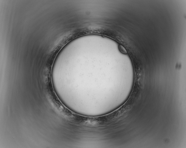 X0000112040742200908241602