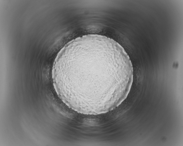 X0000112040745200908241602