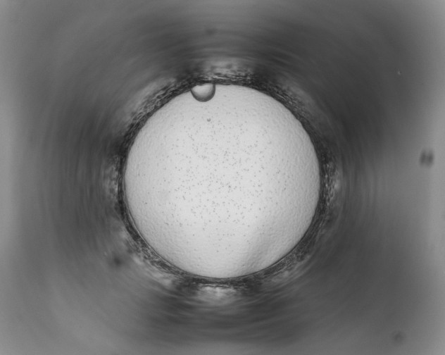 X0000112040749200908241602